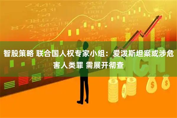 智股策略 联合国人权专家小组：爱泼斯坦案或涉危害人类罪 需展开彻查